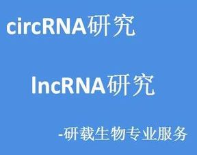 技術服務 驅動現代商業發展的核心引擎